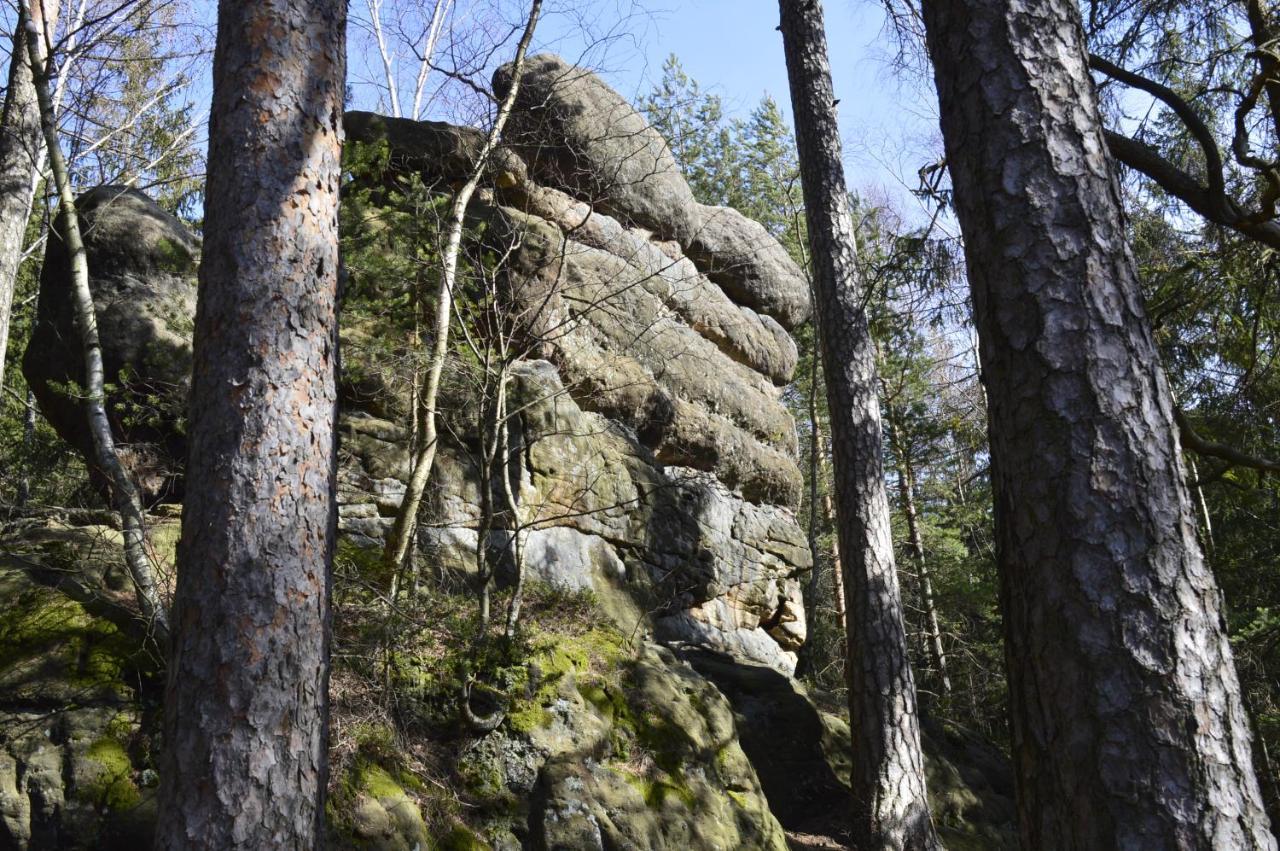 Pokoje Goscinne U Reni Wambierzyce Exterior foto